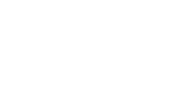Klaviyo_Partner