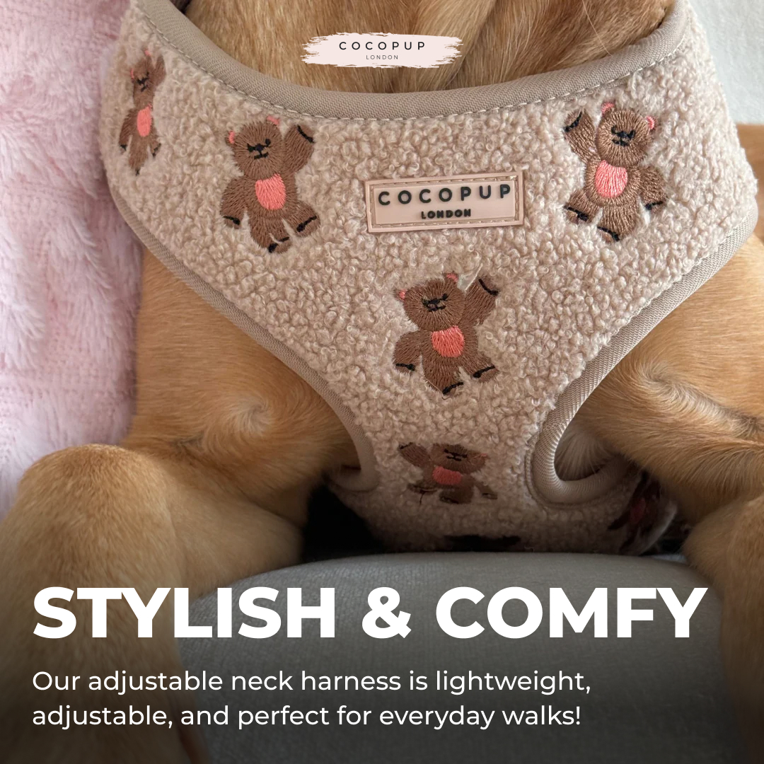 Cocopup ad creative