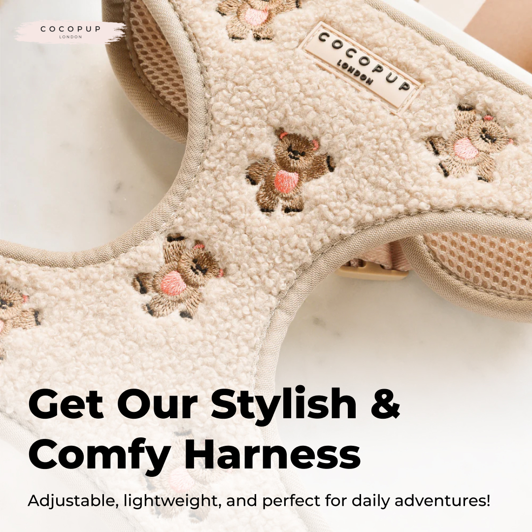 Cocopup ad creative