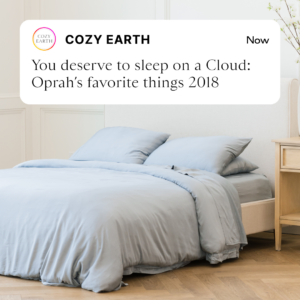 Cozy Earth - Ad Creative 77