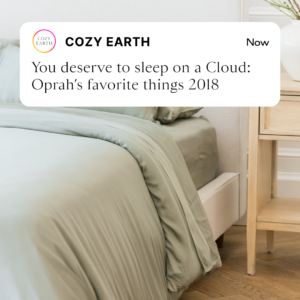 Cozy Earth - Ad Creative 80