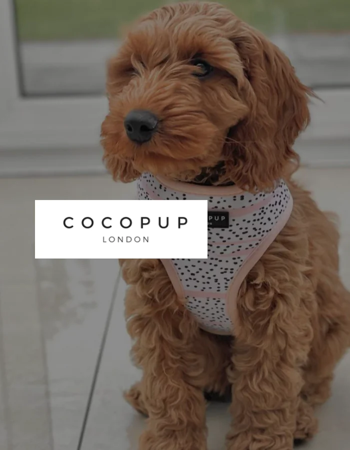 Cocopup